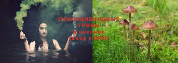 ПСИЛОЦИБИНОВЫЕ ГРИБЫ Нягань
