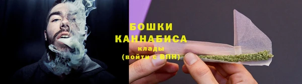 стафф Няндома