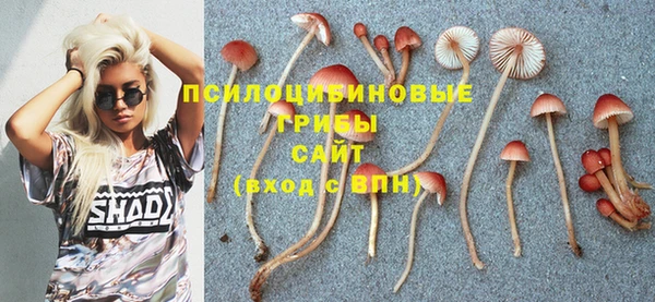 стафф Няндома